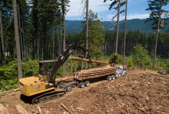 With 30% more swing torque than the previous series machine, the Cat FM548 can move timber quickly and efficiently. With 30% more swing torque than the previous series machine, the Cat FM548 can move timber quickly and efficiently.