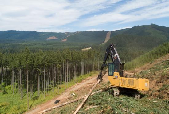The Cat FM548 can shovel logs, build roads, load trucks, and so much more. The Cat FM548 can shovel logs, build roads, load trucks, and so much more.