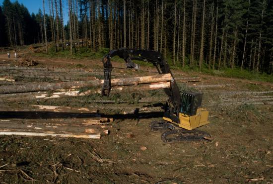 With increased engine power, swing power, and travel power, the Cat FM568 can move big timber quickly and efficiently. With increased engine power, swing power, and travel power, the Cat FM568 can move big timber quickly and efficiently.