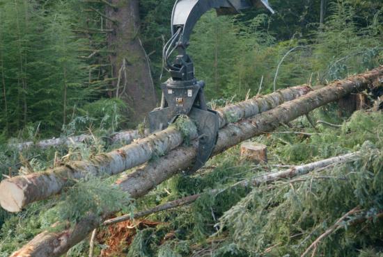 Grapple moving logs Grapple moving logs